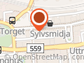 Tvilde & Fretheim fysikalske institutt