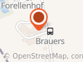 Brauers Logistik & Transporte