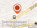 Fysioterapeut Eline H. Moen