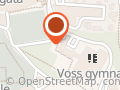 Voss gymnas