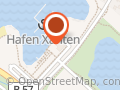 Seestern