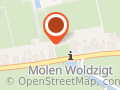 Woldzigt