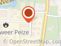 Auto Laning Peize