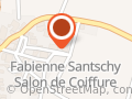 Mrs. Fabienne Santschy Salon de coiffure