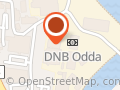 Asian Wok Odda