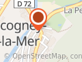 Au crin d'argent