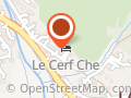 l aster des alpes
