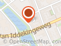 de spelende vrouw