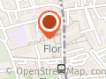 Flor coiffure