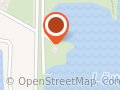 Surflöwen