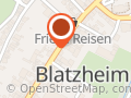 Friesenzucht Gut Michaelshof