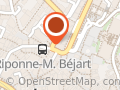 Tsering momo - Foodtruck