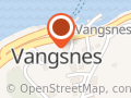 Joker Vangsnes