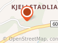 Kjellstadli Tor Odd