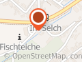 Sascha Thelen - Online Marketing für lokale Unternehmen