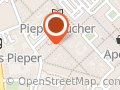 Gecko Der Schmuckladen