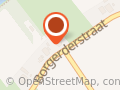 Bodhi Horse Paardencoaching Drenthe