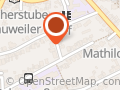 Kölner Baumkletterer