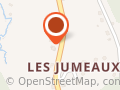 Les Jumeaux