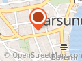 CAVO GALLERI & RAMMEVERKSTED Odd Larsen