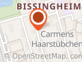 Schmidt Hans Peter Dr.med. Arzt für Inn. Med.