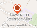 Löwenzahn Sterkrade
