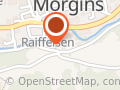 Télémorgins SA