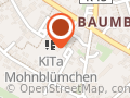 Kita Mohnblümchen