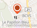 le Papillon Bleu