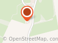 Golden Tree
