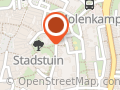 RAAD Oldenzaal CV
