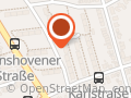 Pfötchentaxi-Gassiservice