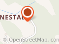 Bjørnestad Ola