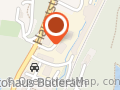 Sibirische Zeder