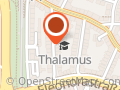 Thalamus Schulen Für Ganzheitliche Heilkunde