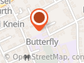 Butterfly Haare & MakeUp