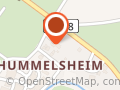 Friedhelm Hummelsheim