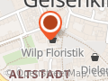 Ortho-Praxis Gelsenkirchen