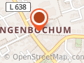 Umzüge Zehm (Umzugslöwen)