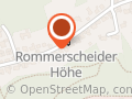 Osteopathische Pferde