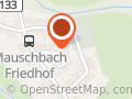 Kunstvoll Frau