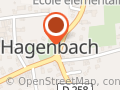CycloTrotters Passion - Hagenbach