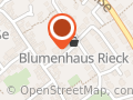Düll Helen Hebamme