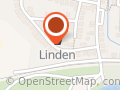 Sonnenblume Heppingen Gisela Linden