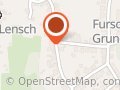 Hene Günter Taxi (Fur)