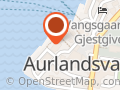 Aurlandskoen