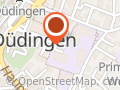 Orientierungsschule Düdingen