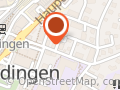 Dipl. Naturheilpraktikerin TEN