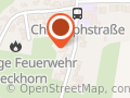Gesundheitsberater der Klassischen Chin. Medizin