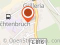 Sparschweinbaum